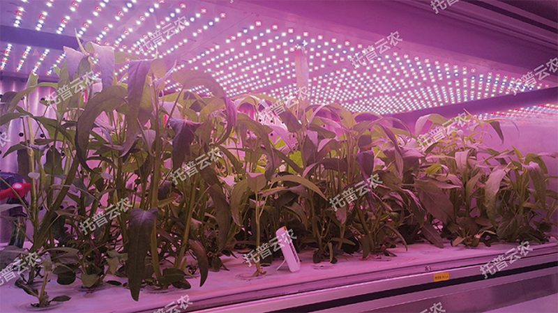 1745917658236970.png ͼƬ5.png