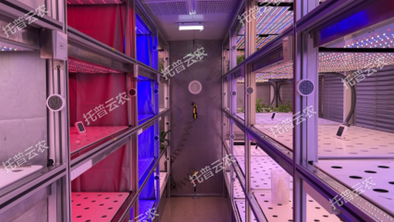 1745917686859560.png ͼƬ8.png