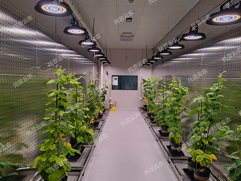 1745917751841442.png ͼƬ9.png