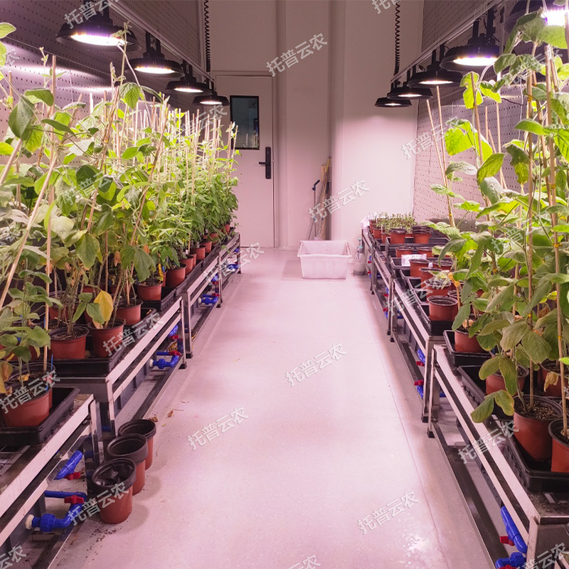 1745917767339643.png ͼƬ11.png