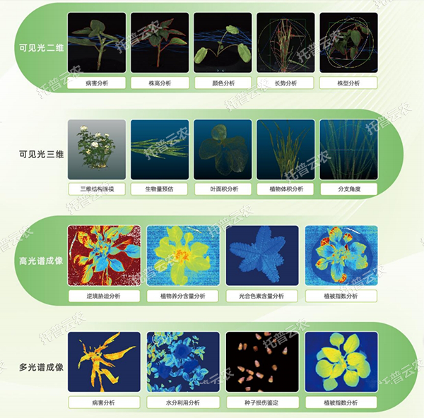 1747798547672380.png ͼƬ3.png