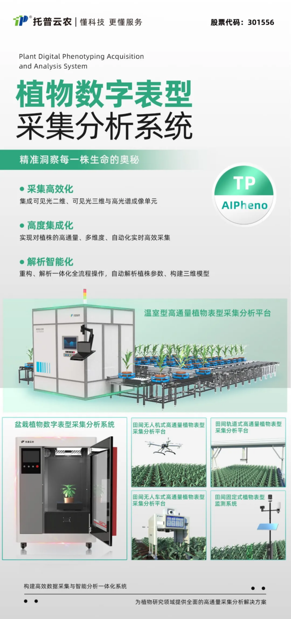 1749086280739219.png SEOͼ3.png