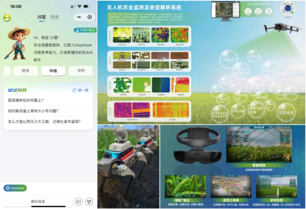 1749086346260366.png SEOͼ5.png