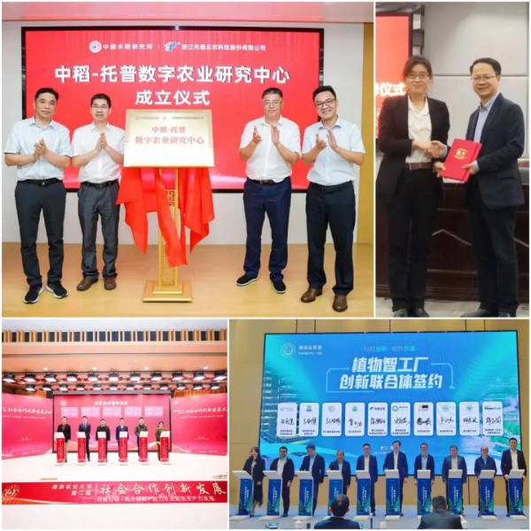 1749086394447175.png SEOͼ6.png