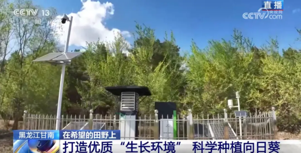 1749540065627697.png ͼƬ3.png