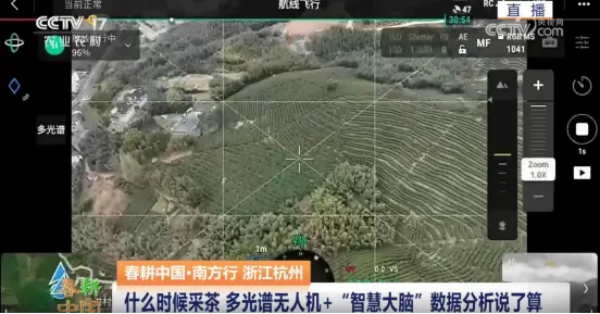 1749540199228169.png ͼƬ7.png