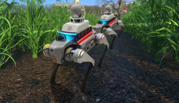 1749608658487889.png SEO4.png