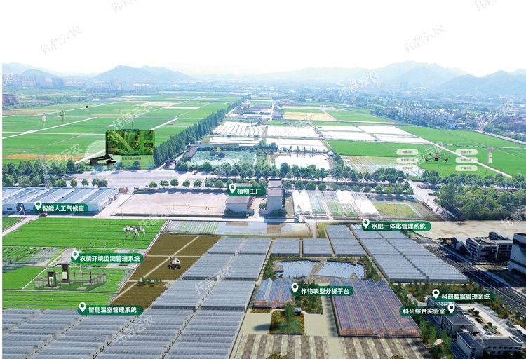 1762743497459372.jpg 1 ·âÃæÍ¼.jpg