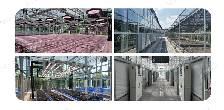 1762743525608310.jpg 1-05.jpg