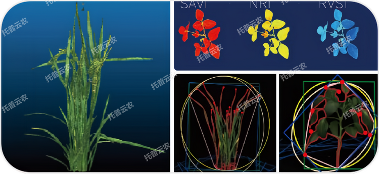 1762743600465831.png ͼƬ1.png