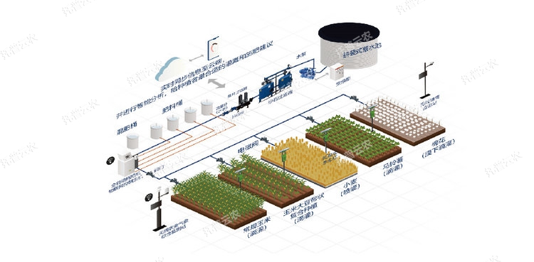 1762743671318251.jpg 1-10.jpg