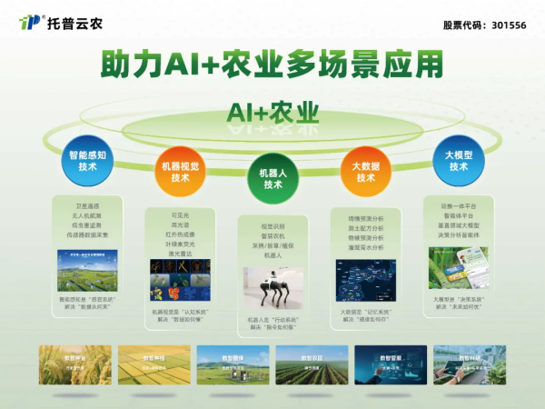 1764206587227941.png ͼƬ3_¸±±¾.png