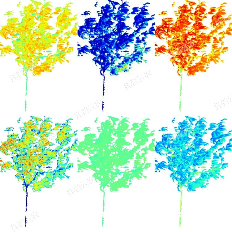 1764927146194880.jpg ¹ûÊ÷ÆÊÎöͼ.JPG