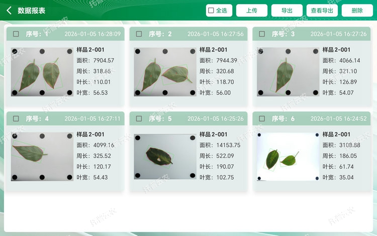 ������� - ����.jpg