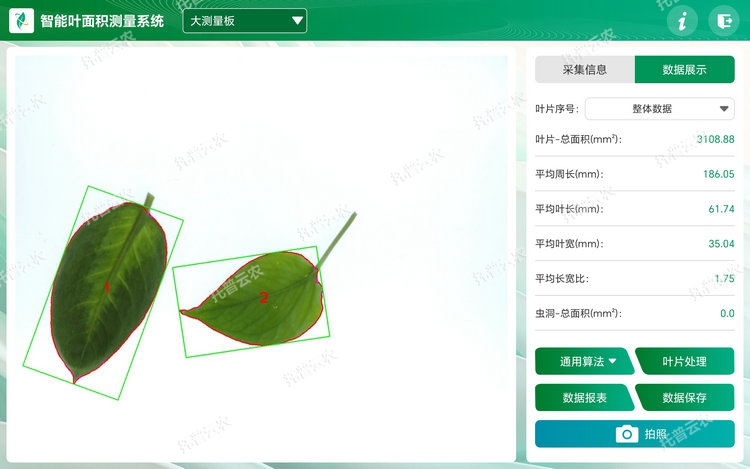 ҶƬ���� - ����.jpg