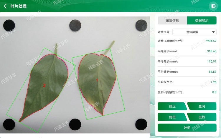 �������� - ����.jpg