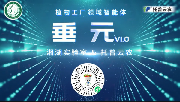 1769158638421989.png ͼƬ1_¸±±¾.png