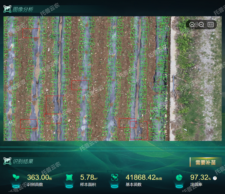 ����������������.png