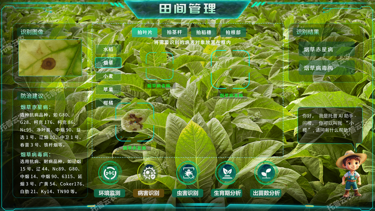 1770711728705250.png 4.png