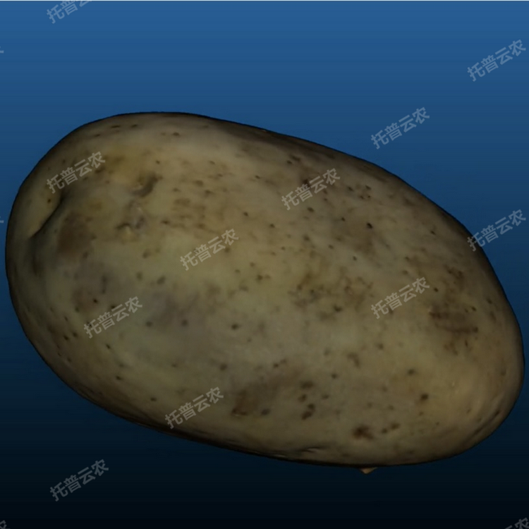 1770778609363623.png Ö÷ͼ5.png