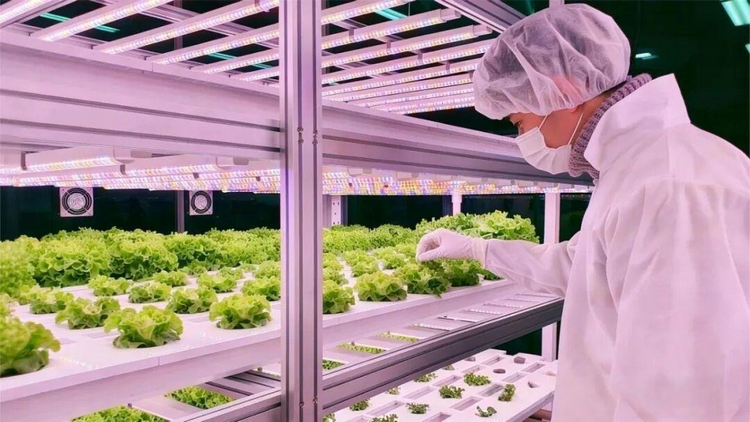 1773987629117304.png 2-4.png